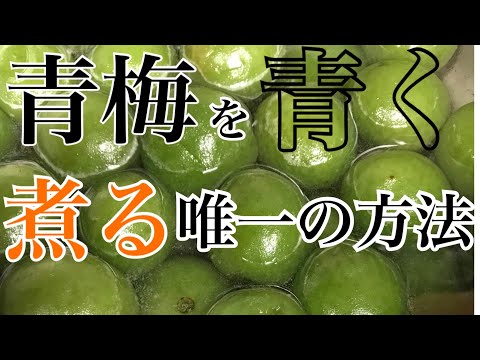 【おうちで会席シリーズ１３】青梅甘露煮