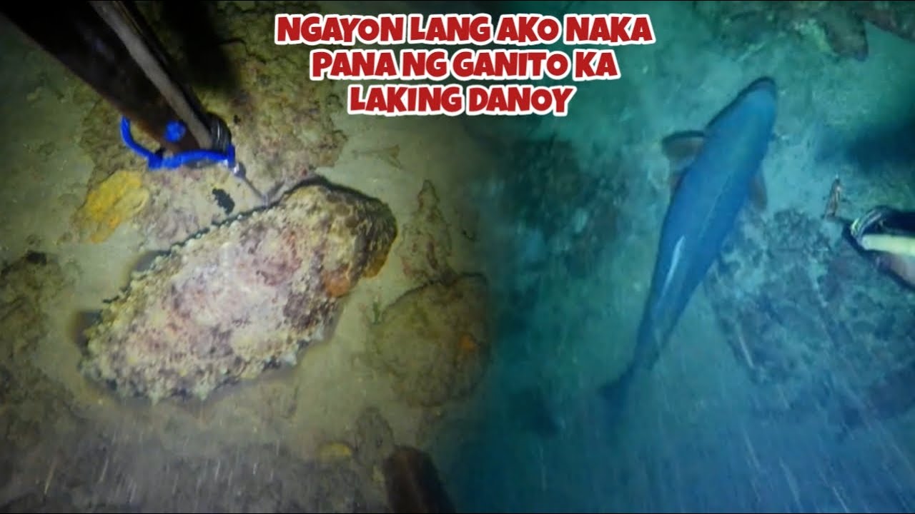 EP 477 NGAYON LANG AKO NAKA PANA NG GANITO KA LAKING DANOY NAKA BAWI AGAD SA TAMBAY