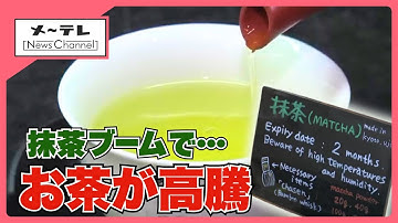 世界的な抹茶ブームでお茶の産地に“異変”　平均卸価格は去年の2倍に高騰