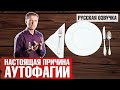 Зачем НА САМОМ ДЕЛЕ нужна аутофагия? (русская озвучка)