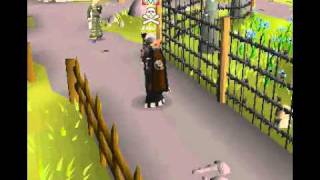 Spawnscape Legit Pking