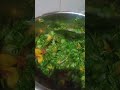 #homemade #palakaloo #ytshorts