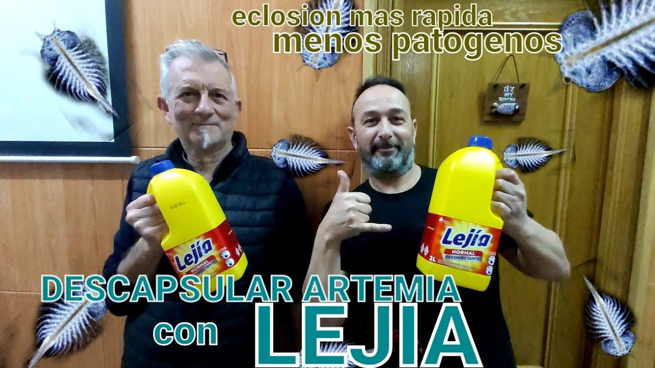 DESCAPSULAR ARTEMIA CON LEJIA