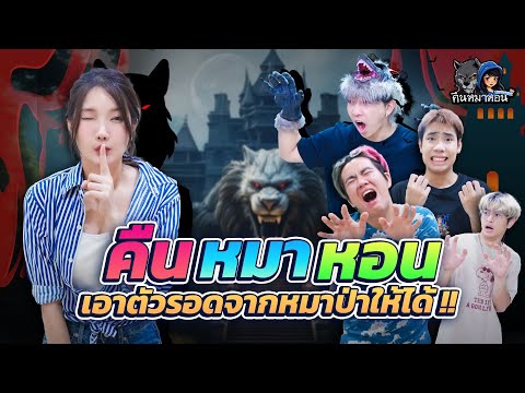 ซ่อนแอบโฉมใหม่ สู่เกมคืนหมาหอน 