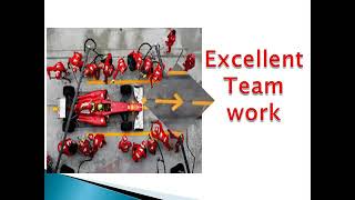 Excellent Team Work - Must watch