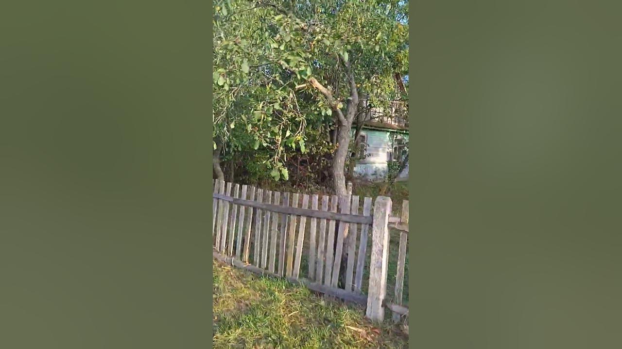 Умершие деревни видео. Деревня островская архангельской области. Машина в глуши. Страшные заброшенные деревни россии. Умершие деревни видео.