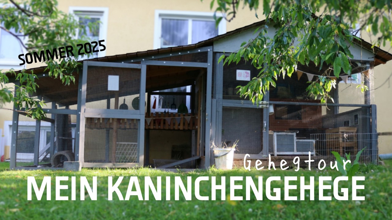 Mein Kaninchengehege - Gehegetour Sommer 2025 | Kaninchenstar