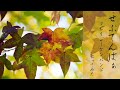 せぷてんばぁ/クレイジーケンバンド【カラオケ】