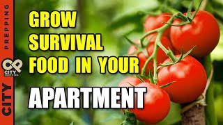 25 Survival Vegetables To Grow In Your Apartment (pt1)