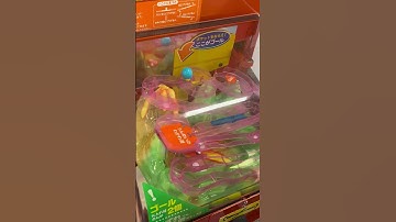 ガムの迷路に大人がガチで挑んだ結果ww