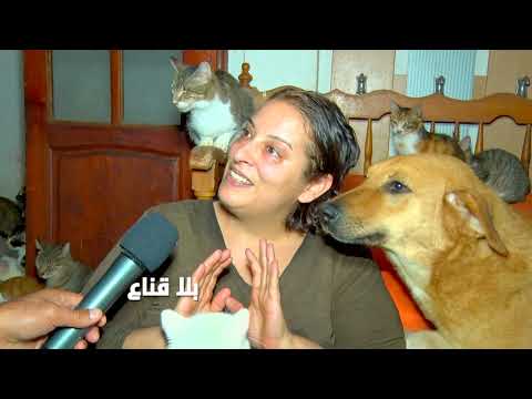   أغرب إمرأة من ملكة جمال يتنافس على ودها الرجال تتحول إلى ملكة لدولة القطط