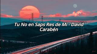 Tu No en Saps Res de Mi // David Carabén ; (Lyrics) 🎵
