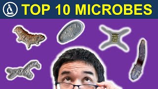 Top TEN MICROBES of the year - Rewind 2021 🔬 229