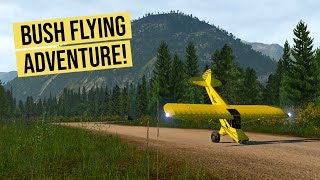 THIS happened when I flew a Carbon Cub