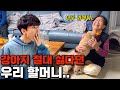 이건 예상 못했네요.. 92년동안 강아지 싫어한 할머니 반응 | 미chill듯이 재밌는 토리쇼