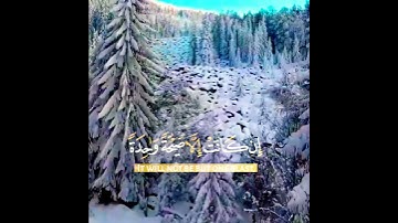 ستوريات انستا دينية قصيرة//القارئ: رعد الكردي//حالات واتس اب دينية//