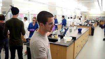 Why I chose Yale - 2018 NEW VIDEO