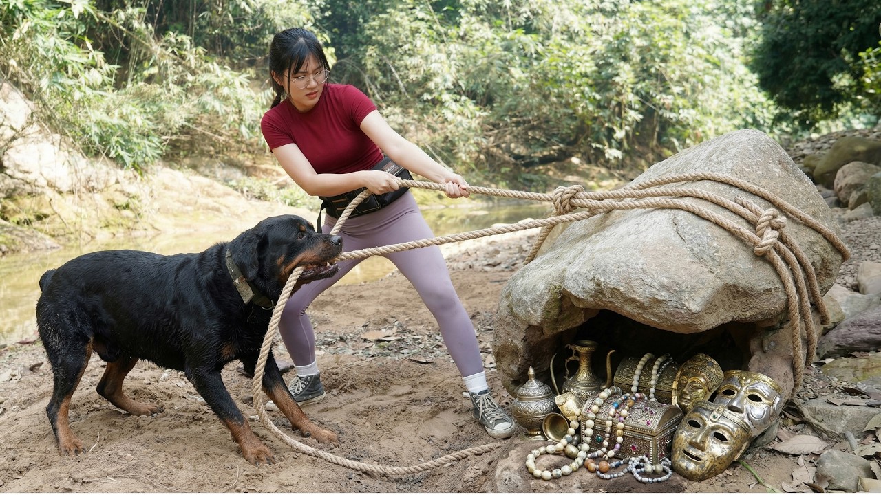 Lost for Centuries: My clever dog and I discovered a mysterious treasure - Treasure Hunter