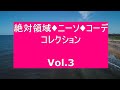 絶対領域 ニーソ コーデ コレクション Vol 3