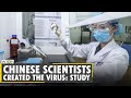 COVID-19: Chinese scientists created the virus; study