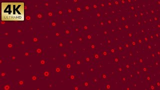 Royalty Free Template Corporate Background Template for Video Edit Red Theme
Royalty Free Template Corporate Background Template for Video Edit Red Theme
Enjoy this Motion Graphics Background
For more free content on this channel, please like, share, and subscribe. And dont forget to hit the bell button so that you wont miss any new video. Comment below to let me know what you think :)
Dont forget to explore the huge collection of royalty free footages, royalty-free videos, light effects, particles, smoke animation, film-related backgrounds, DJ background, hypnotic, royalty free videos, 3d videos, animated backgrounds, special effects, free videos, HD clips, full HD, royalty free videos 1080p, wedding backgrounds, green screen footage, VFX effects, fireworks, Green screen videos, chroma-key, clouds animation, free motion videos, moving backgrounds, abstract backgrounds, motion background videos, stock footages, background video loops, YouTube videos, free videos, free background videos.
Royalty Free Footages is the best library to find the finest collection of free high definition stock footages. Most of the video clips are free to use and are absolutely royalty-free. However, few videos are premium & are available for purchase at low prices. Find multiple stock videos to match your concepts or keywords. Every motion background is an original creation by Royalty Free Footages in HD, 2K & 4K resolution. Explore more moving backgrounds that will glamorize your creation. Experience vibrant free modern motion backgrounds animated with precision to inherit professionalism in your videos.
Explore several free animated video backgrounds best suited as wedding background, party background, fashion show background, worship background, dance show background, and much more. Find the most elegant motion graphics background videos that will add spark to the corporate video or business presentations. You can even create rich title animations using these 1080p HD video backgrounds. Find free footages stock in high definition and absolutely as royalty-free.
Time Stamps
00:00 Corporate Presentation Animation for Visual Presentation
00:11 Royalty Free Corporate Animation
00:23 Motion Background for Corporate Background
00:36 Royalty Free Motion Graphics
00:55 Video Background 4K
#abstract #animation #background #abstractpainting #3danimation #2danimation #abstractpainter #animations #animation2d #animationbackground #abstractanimation #abstractgallery #backgroundphoto Royalty Free Template Corporate Background Template for Video Edit Red Theme