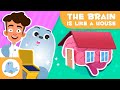 Understanding the Brain: A Two-Floor House