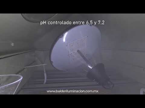 Pruebas de laboratorio BI-NEOS