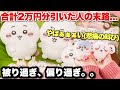 【ちいかわだらけくじ】偏りすぎだろぉぉ！！さっそくリベンジ戦！！2万円分引いたので参考になれば、、【ちいかわ】【ちいかわくじ】