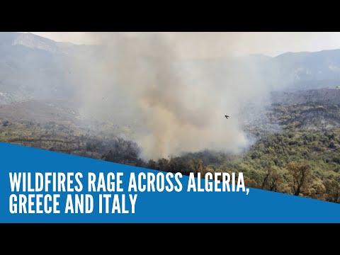 Wildfires rage across Algeria, Greece and Italy