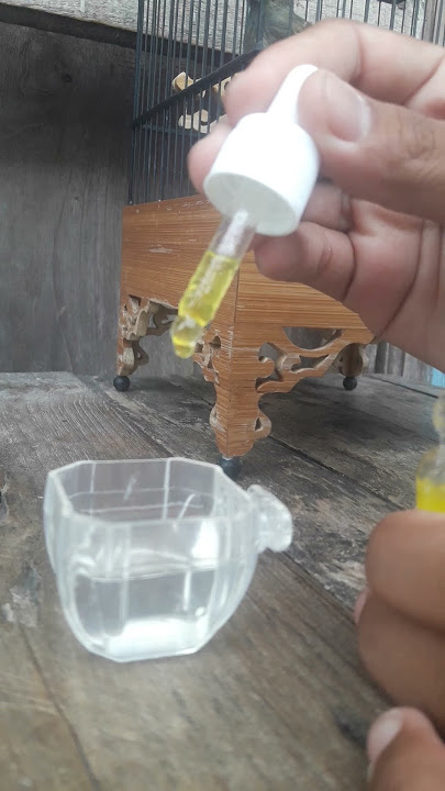 Doping prenjak HYPER MAXX , Jebol birahi prenjak dan Dongkrak Setamina burung Prenjak .