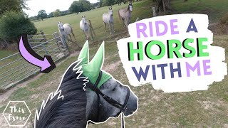 GoPro Groom, Tack Up and Ride With Me  Trail Ride with Joey AD | This Esme