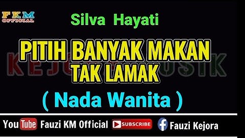 Silva Hayati - PITIH BANYAK MAKAN TAK LAMAK [ Karaoke ] Nada Wanita