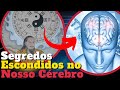 O segredo oculto do yin  yang sobre a vida humana que o sistema no quer que voc saiba