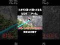 トカゲ獲り トカゲと思ったら まさかの だった Shorts トカゲ コント 衝撃映像 お笑い トカゲ獲り トカゲと思ったら まさかの だった Shorts トカゲ コント 衝撃映像 お笑い