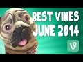 Brittany Furlan VINE Compilation | Best VINES of June 2014!