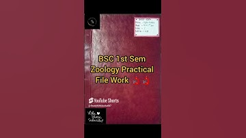 CCSU Meerut | BSC 1st Sem | Zoology(B050102P) | Practical Work | Polytene Chromosome | NEP 2020 | 📚✨