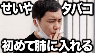 【初】せいやがタバコを肺に入れてみます【霜降り明星】