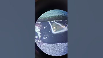 Oppo Reno 12 F MT6835 ISP UFS Make Video With Microscope Nikon 645/660