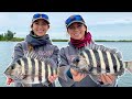 Dock fishing from a BOAT for our FISH - First sheepshead!