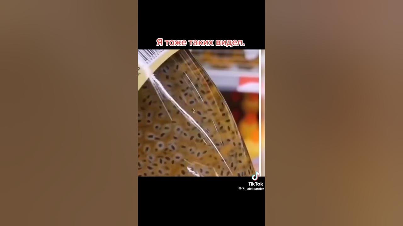 лягушкин сын - YouTube