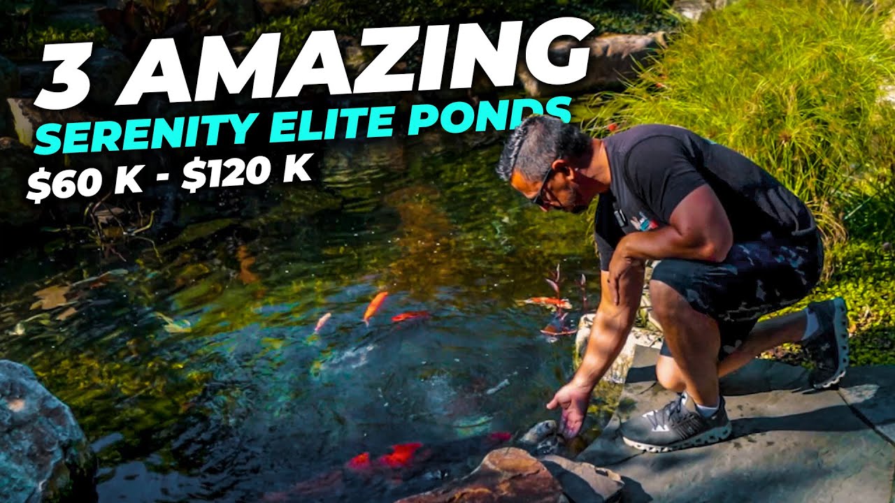 ТУР ПО ВОДНОМУ САДУ - 3 невероятных пруда с карпами кои