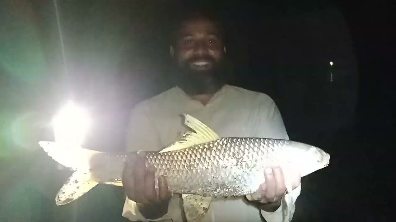 Fishing in Pakistan Murakh Fish Chenab River Fishing September 2022