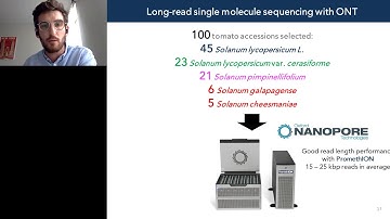 Contribution of transposons to structural variation and phenotypic diversity in tomato