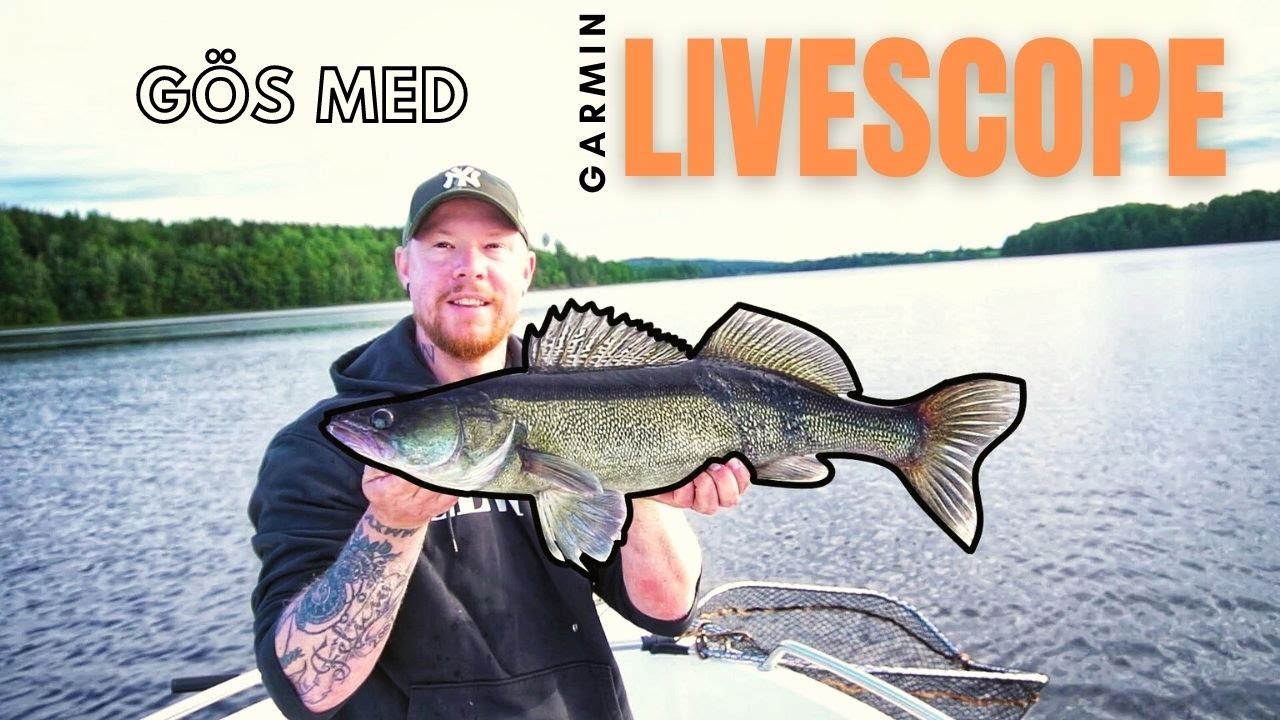 GÖSFISKE!! - Testar bl a pelagiskt fiske med hjälp av Garmin LIVESCOPE!