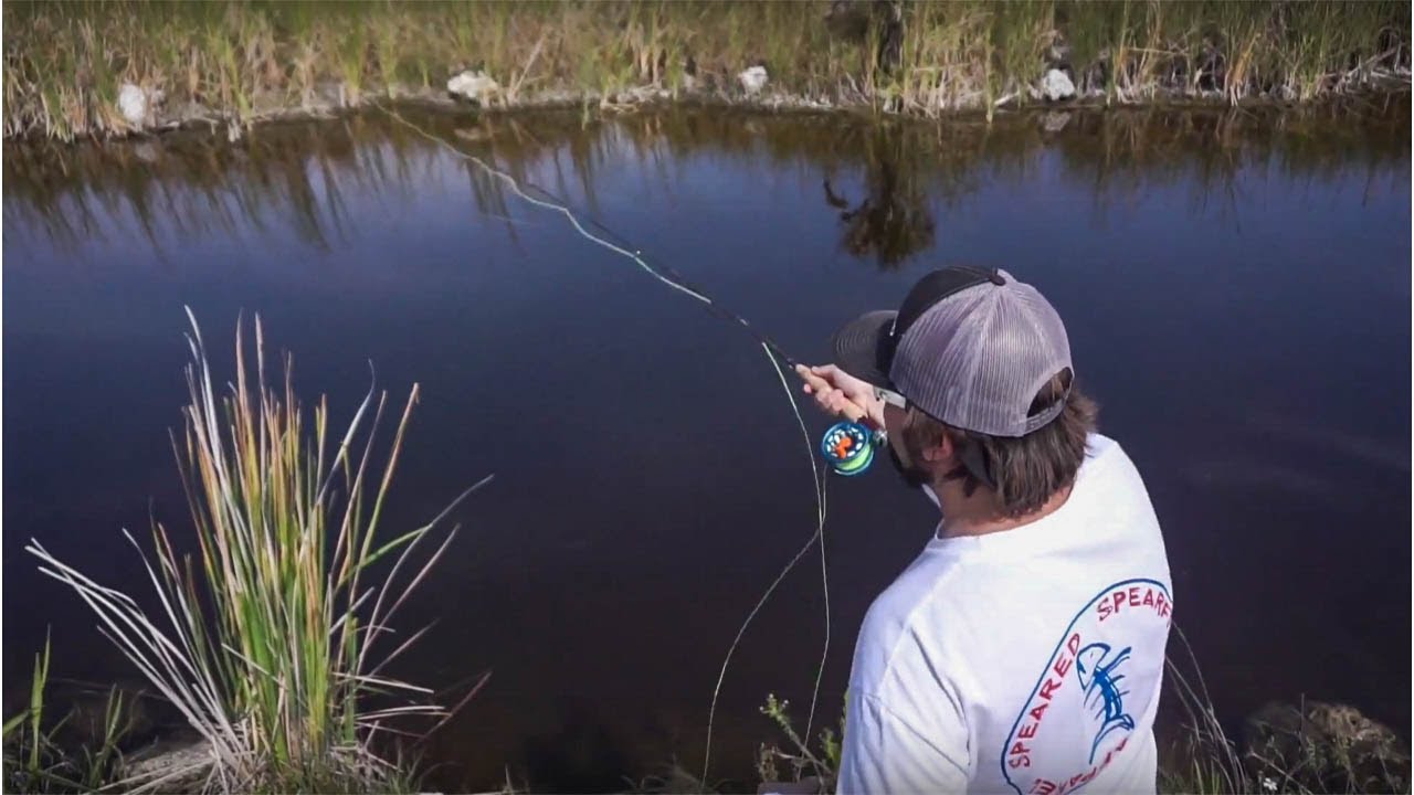 South Florida blue crabbing and fly fishing YouTube