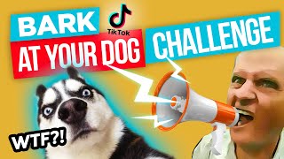 Bark at Your Dog and See Their Reaction (HILARIOUS)