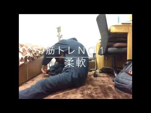 ヒッキーの一年筋トレ 100日目！