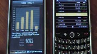 Pushbi Mobile For The Rim Blackberry- Personalized Business Intelligence Solution