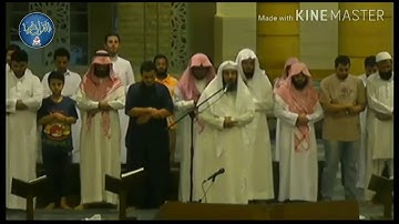 الشيخ سعد التوم السبيعي | تلاوة فاقت الوصف رمضان ١٤٣٧