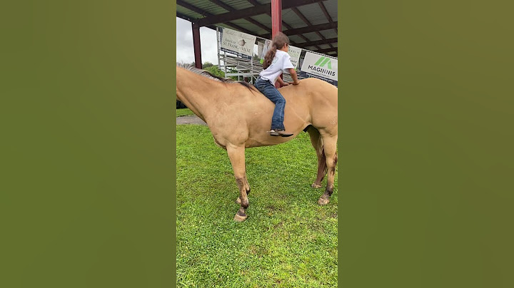 Gentle Horse Allows Climbing and Sliding || ViralHog